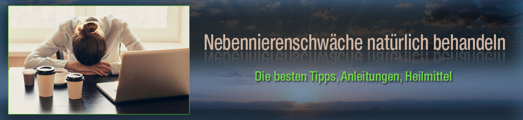 Nebennierenschwäche Ratgeber 2022